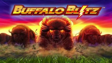 Buffalo Blitz Live! Slot machine de casino ao vivo